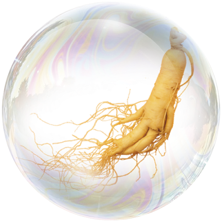 Женшен (Panax ginseng)**