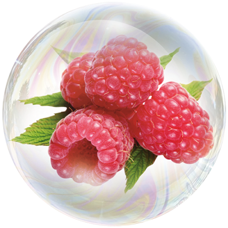 Малина (Rubus idaeus) **