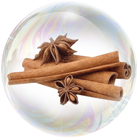 Канела (Cinnamomum ceylanicum)**