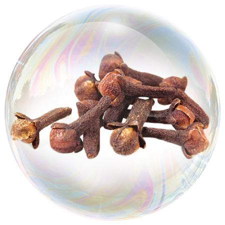 Карамфил (Syzygium aromaticum)**