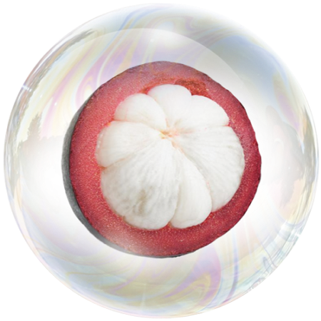 Плодове от мангостин (Garcinia mangostana) **