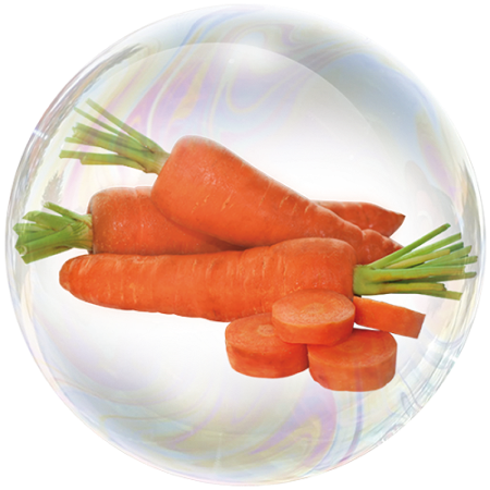 Морков (Daucus carota) **